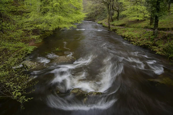 Piękny Wiosenny Obraz Krajobrazu Watrersmeet Devon Anglia Gdzie Dwie Rzeki — Zdjęcie stockowe