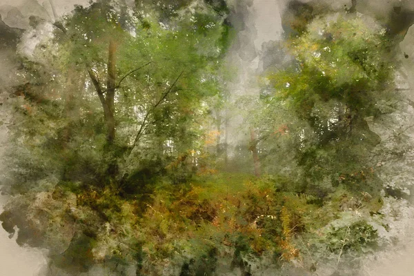 Aquarelle Peinture Superbe Vibrant Évocateur Automne Automne Brouillard Forêt Paysage — Photo