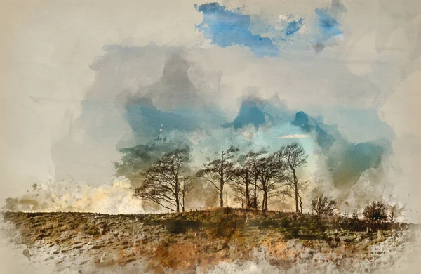 Akvarel Malba Krásné Večerní Krajiny Stromů Během Podzimního Západu Slunce — Stock fotografie