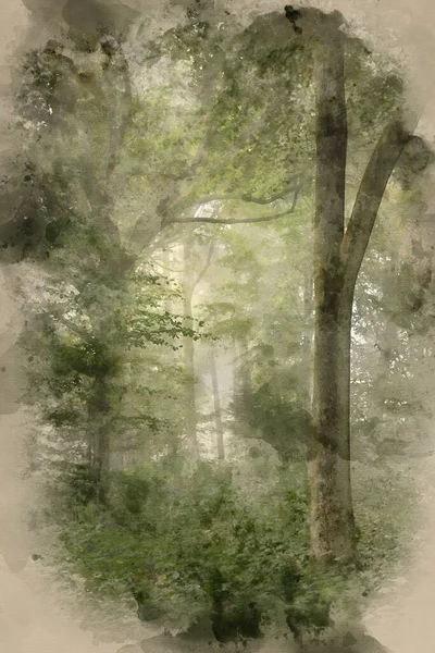 Acuarela Pintura Impresionante Vibrante Evocador Otoño Otoño Niebla Bosque Paisaje — Foto de Stock