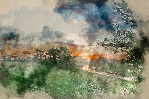 Akvarell Målning Fantastisk Levande Sommar Soluppgång Över Engelsk Landsbygd Landskap — Stockfoto