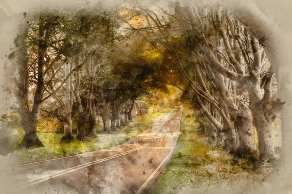 Watercolour Painting Beautiful Autumn Landscape Road Forest Countryside Morning — Stock Photo, Image
