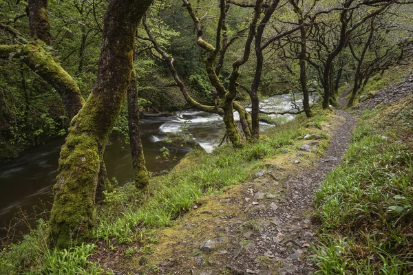 Hermosa Imagen Del Paisaje Primavera Watrersmeet Devon Inglaterra Donde Dos — Foto de Stock