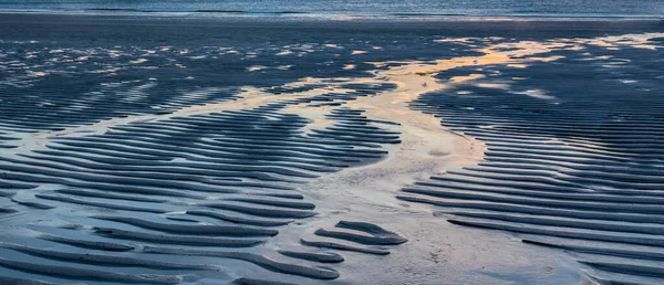 Piękna Plaża Abstrakcyjny Krajobraz Bliska Żywe Kolory Piękne Złote Światło — Zdjęcie stockowe
