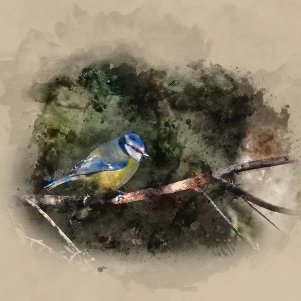 Watercolor Painting Beautiful Portrait Blue Tit Cyanistes Caeruleus Bird Sitting —  Fotos de Stock