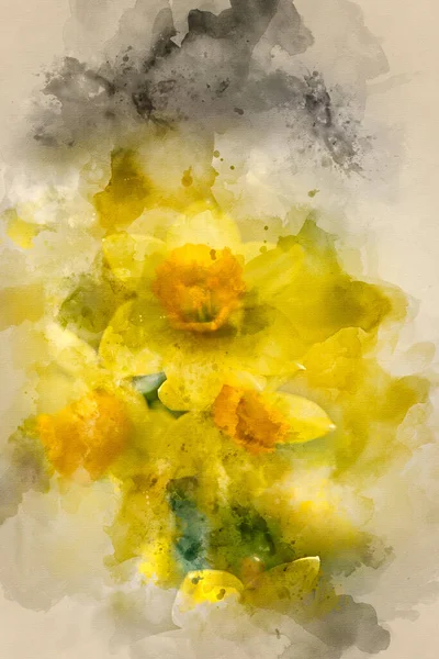 Digital Watercolor Painting Narcissus Daffodils — Stock Photo, Image