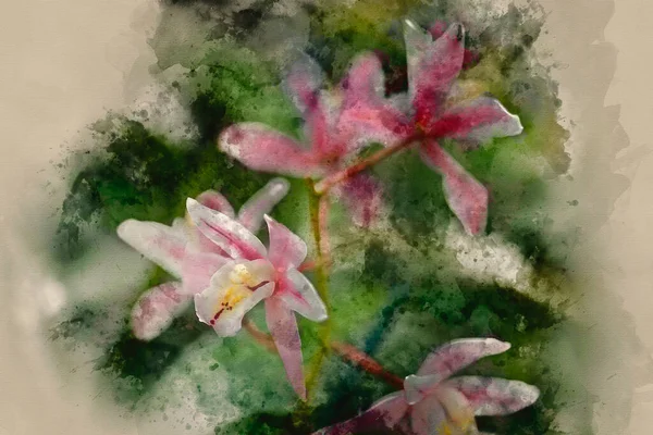 Pittura Digitale Acquerello Colorati Fiori Rosa Primavera — Foto Stock