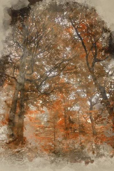 Aquarelle Numérique Superbe Vibrante Évocation Automne Automne Brouillard Forêt Paysage — Photo