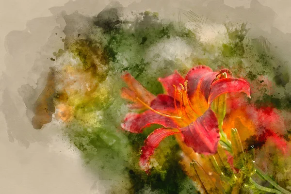 Digital Watercolor Painting Beautiful Vibrant Red Yellow Lily Flower Hemerocallis — Stock Photo, Image