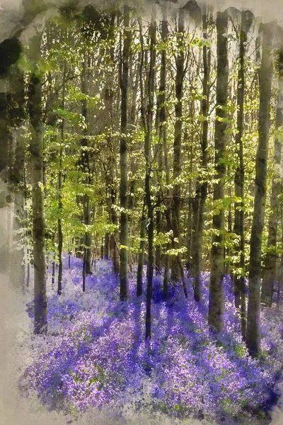 Digital Watercolor Painting Beautiful Landscape Spring Bluebells Forest — Stock Photo, Image