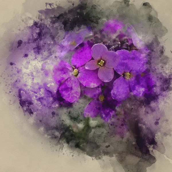 Pintura Aquarela Digital Belas Flores Roxas Primavera Com Profundidade Rasa — Fotografia de Stock