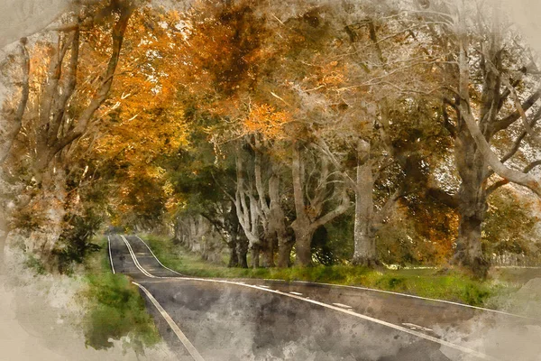Digital Watercolor Painting Beautiful Autumn Landscape Road Forest Countryside Morning — Stock Photo, Image