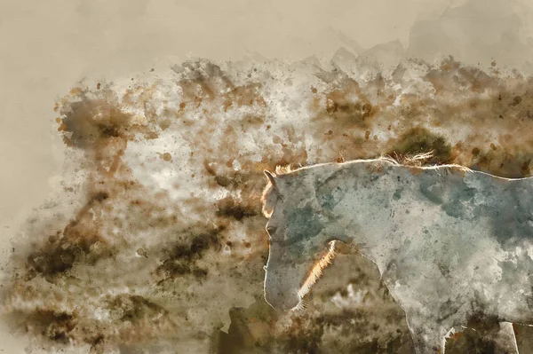 Цифровая Акварельная Живопись Крупным Планом Нью Форест Пони Купается Теплом — стоковое фото