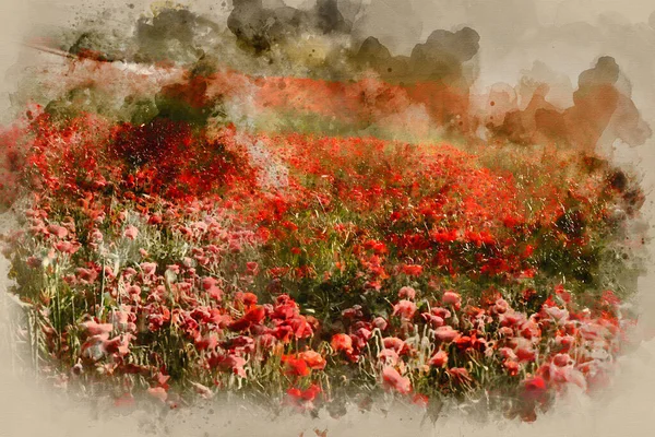Digital Watercolor Painting Beautiful Landscape Image Summer Poppy Field Stunning — Stock Photo, Image