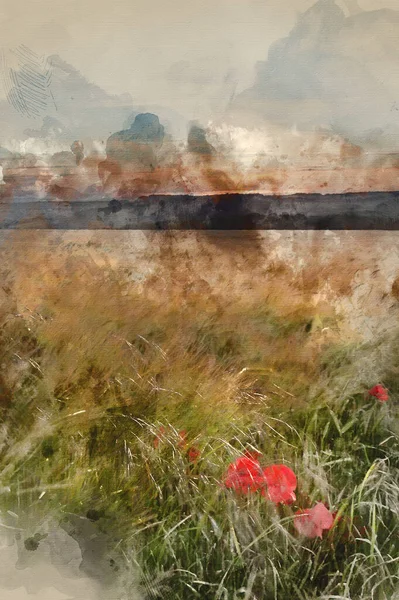 Digitale Aquarel Schilderij Van Landschap Van Papaverveld Zomer Avond — Stockfoto