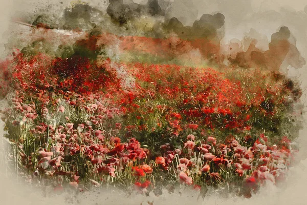 Cyfrowe Malarstwo Akwarelowe Piękny Krajobraz Obrazu Letniego Pola Maku Pod — Zdjęcie stockowe