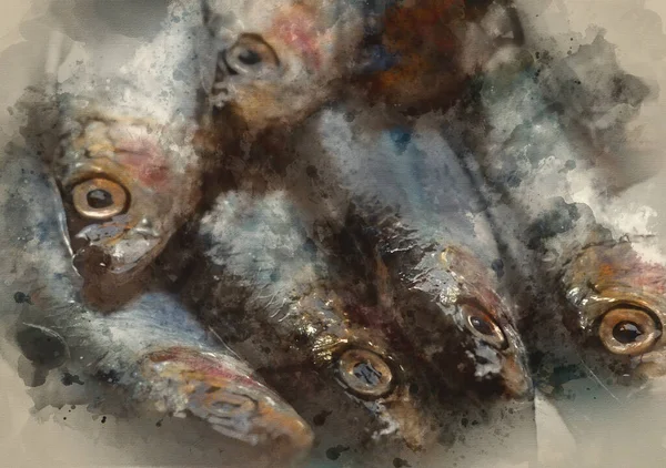 Digital Watercolor Painting Fresh Sprats Fish Serving Dish — Stock Photo, Image