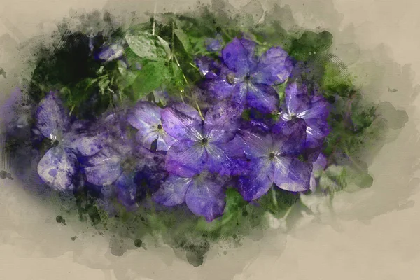 皇家紫苏水彩画 金银花 全盛时期的数码水彩画 — 图库照片