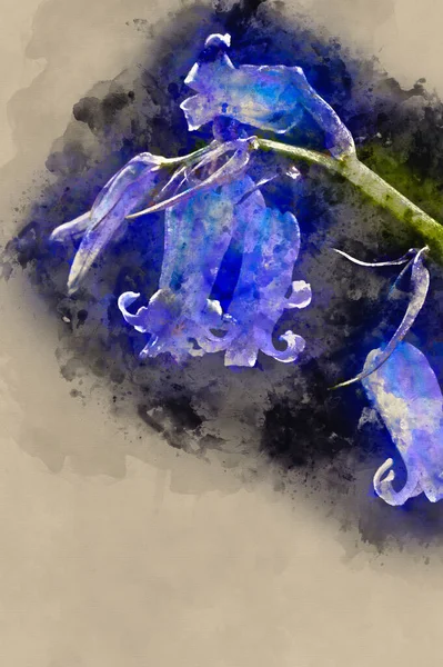 Digitale Aquarellmalerei Von Lovely Low Key Close Der Blume Der — Stockfoto