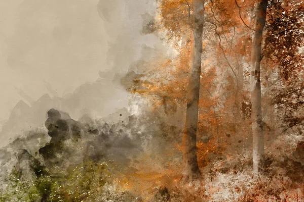 Mevsimlerin Yazdan Sonbahara Değişiminin Dijital Suluboya Resmi Bir Orman Manzarasında — Stok fotoğraf