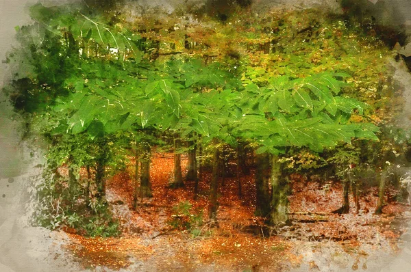 鮮やかな色彩と細部で秋の森のデジタル水彩画 — ストック写真