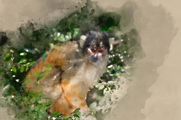 Pittura Acquerello Digitale Scimmia Scoiattolo Dalla Testa Nera Boliviana Saimiri — Foto Stock