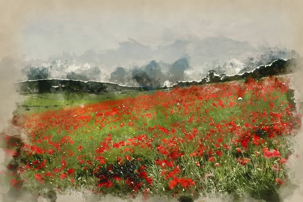 Lukisan Cat Air Digital Lanskap Ladang Poppy Matahari Terbenam Musim — Stok Foto