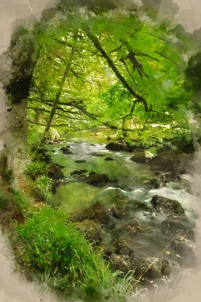 Digitální Akvarel Obraz Ohromující Krajiny Řeky Tekoucí Svěží Les Golitha — Stock fotografie