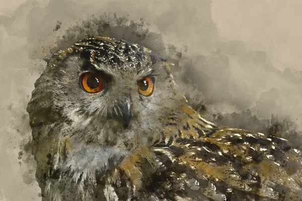 Digital Watercolor Painting Beautiful Portrait European Eagle Owl Bubo Bubo — Stock Photo, Image