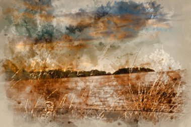 Güneşin parlaklığının ve kırsal arazinin ışıklandırılmasının güzel yaz resminin dijital suluboya resmi