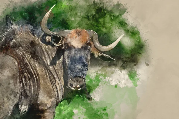 Ψηφιακή Ακουαρέλα Ζωγραφική Του Πορτρέτο Του Κοινού Wildebeest Connochaetes Alcelaphine — Φωτογραφία Αρχείου