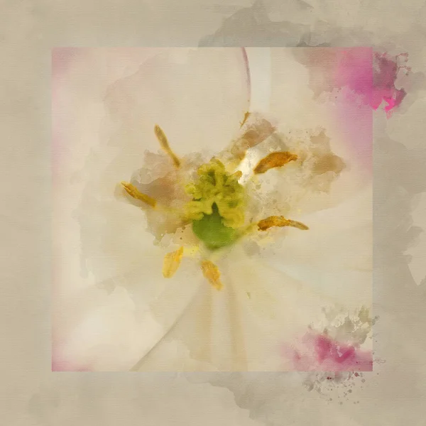 Cyfrowe Malarstwo Akwarelowe Oszałamiające Artystyczne Zbliżenie Obrazu Różowego Kwiatu — Zdjęcie stockowe