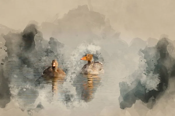 Digital Watercolor Painting Beautiful Greylag Huns Anser Anser Wet Landscape — 스톡 사진