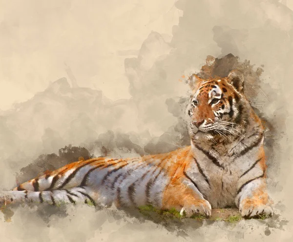 Digital Watercolour Painting Beautiful Tiger Relaxing Grassy Hill — Stock Photo, Image