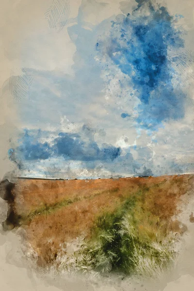 Aquarelle Numérique Superbe Paysage Champs Blé Sous Ciel Orageux Coucher — Photo