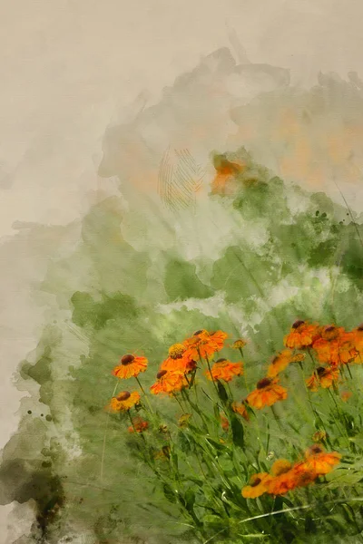 Digitale Aquarel Schilderij Van Mooi Landschapsbeeld Van Wilde Bloem Weide — Stockfoto