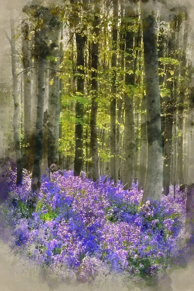 Pintura Aquarela Digital Bela Manhã Floresta Bluebell Primavera — Fotografia de Stock