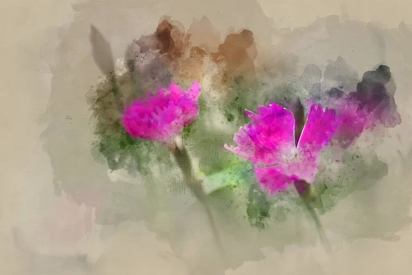 Digitális Akvarell Festmény Gyönyörű Rózsaszín Kahori Határ Növény — Stock Fotó