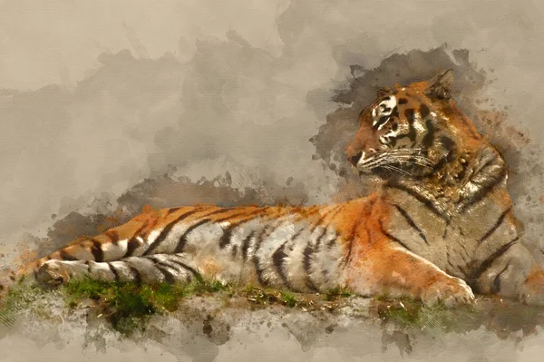 Pintura Aquarela Digital Bela Imagem Tigre Relaxante Banco Gramado — Fotografia de Stock