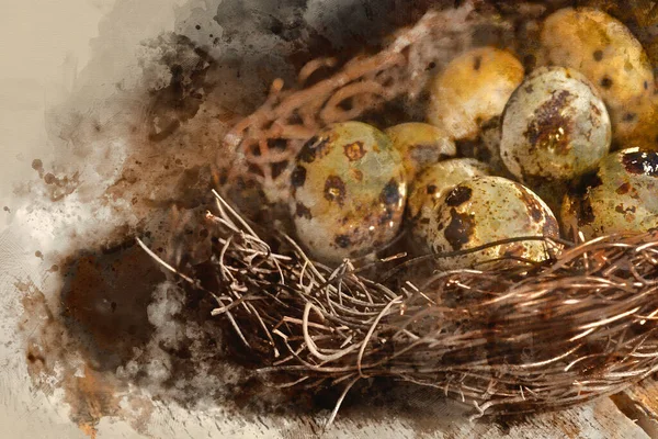 Цифровая Акварельная Роспись Moody Естественного Освещения Винтажном Стиле Изображения Яйцеклеток — стоковое фото