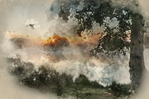 Digitális Akvarell Festmény Gyönyörű Őszi Táj Madarak Repülő Felett Köd — Stock Fotó