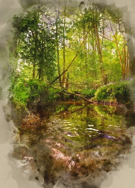 Digital Watercolor Painting Beautiful Image Stream Flowing Upstream Deep Vibrant — Stock Photo, Image