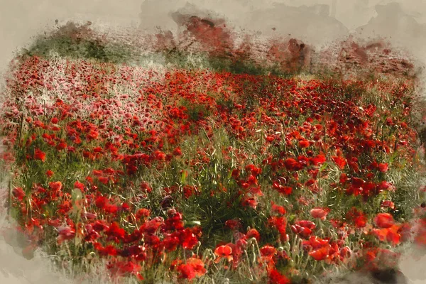 Lukisan Cat Air Digital Lanskap Poppy Field Saat Matahari Terbenam — Stok Foto