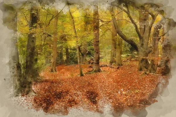 Digital Watercolor Painting Beautiful Vibrant Autumn Fall Colors Forest Landscape — Stock Photo, Image