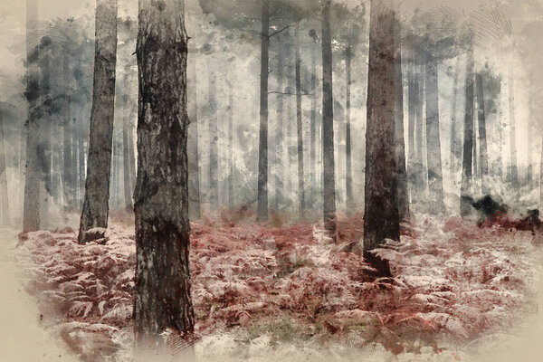 Digital watercolor painting of Autumn Fall landscape foggy morning in pine forest