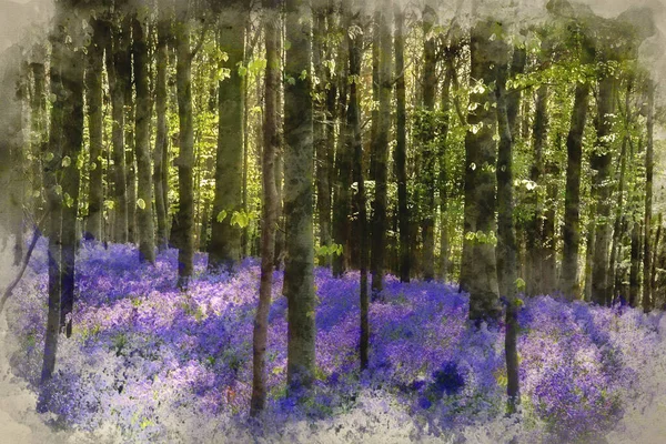 森林中春天蓝铃花美丽风景的数字水彩画 — 图库照片