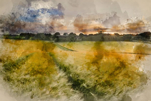 Digitale Aquarel Schilderij Van Mooie Zomer Zonsondergang Landschap Akkers Landbouwgewassen — Stockfoto