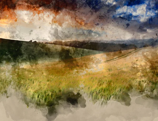 Digitale Aquarel Schilderen Van Mooie Zomer Landschap Van Het Veld — Stockfoto