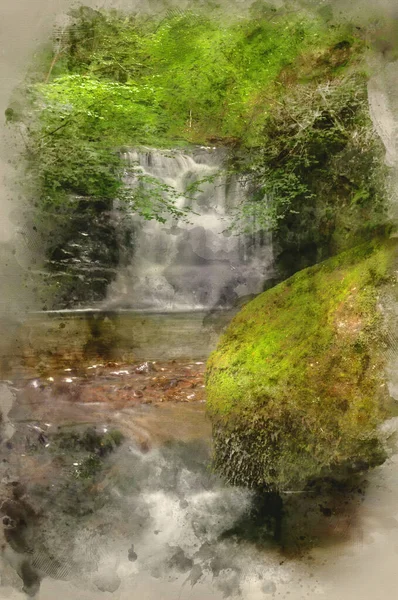 Digital Akvarell Målning Lummig Grön Skog Scen Med Lång Exponering — Stockfoto