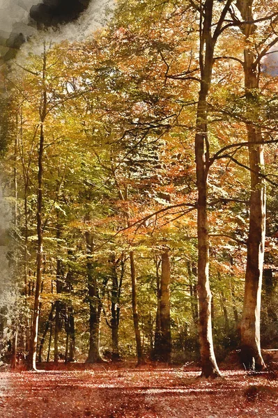Digitális Akvarell Festmény Gyönyörű Táj Képet Erdő Borított Ősszel Színe — Stock Fotó